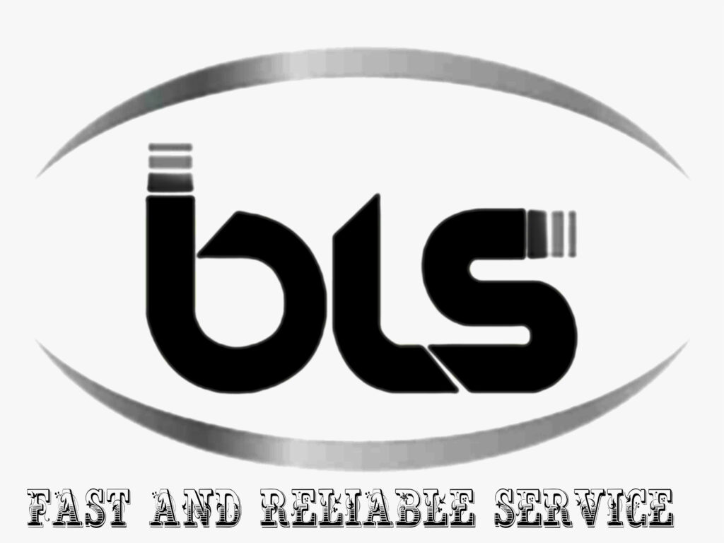 Bis-Mi.com - Logo designed by bismi #Bismiwebslutions... | Facebook